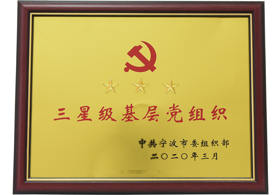 三星级基层党组织