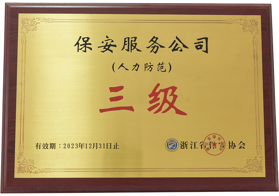 保安服务公司三级